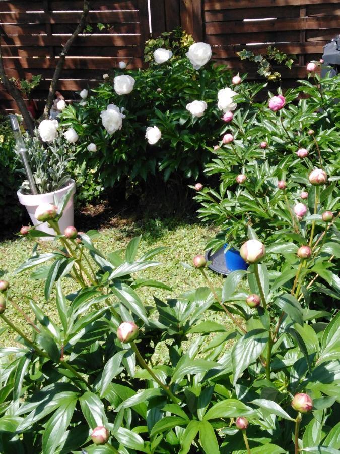 Ferienwohnung Mit Kleinem Garten Sonnenbühl Kültér fotó