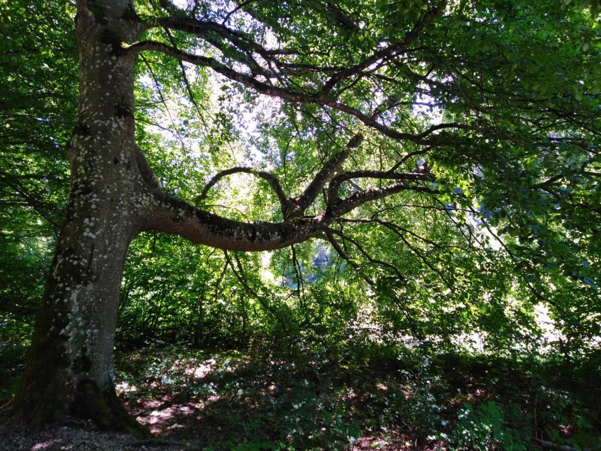 Ferienwohnung Mit Kleinem Garten Sonnenbühl Kültér fotó