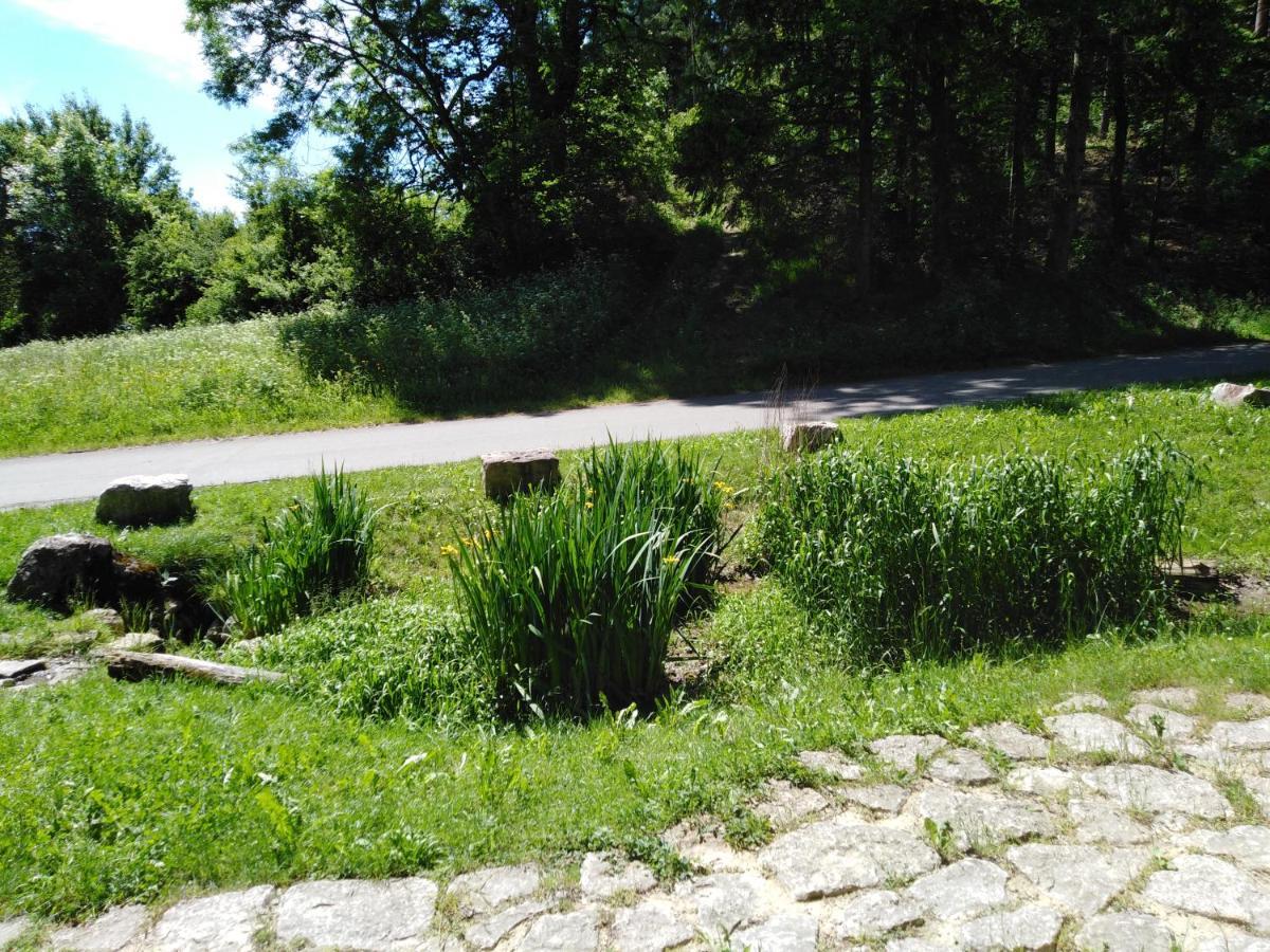 Ferienwohnung Mit Kleinem Garten Sonnenbühl Kültér fotó