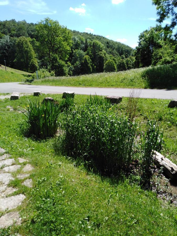 Ferienwohnung Mit Kleinem Garten Sonnenbühl Kültér fotó
