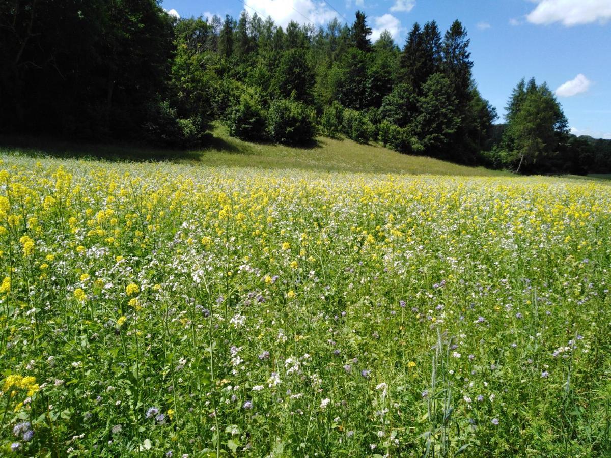 Ferienwohnung Mit Kleinem Garten Sonnenbühl Kültér fotó